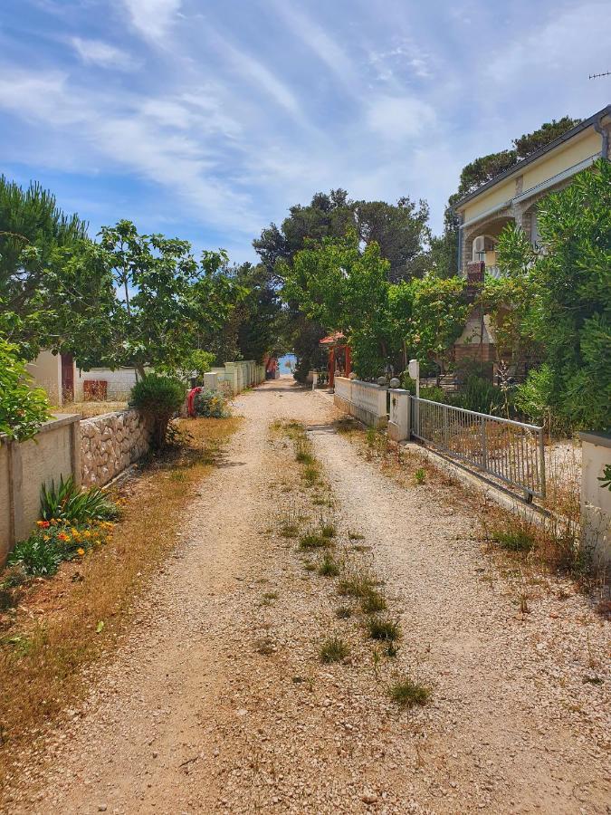 Apartmani Steli Vir Exteriér fotografie
